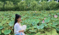 龚莲伊——度一学堂古琴老师