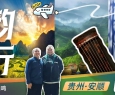 琴韵黔行 | 北京至贵州安顺六日古琴游学之旅：山水入弦，古今和鸣 ...