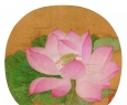 夏日清凉活动 | 团扇绘制DIY~