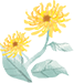 171325h689uu8vrqv0870r.png