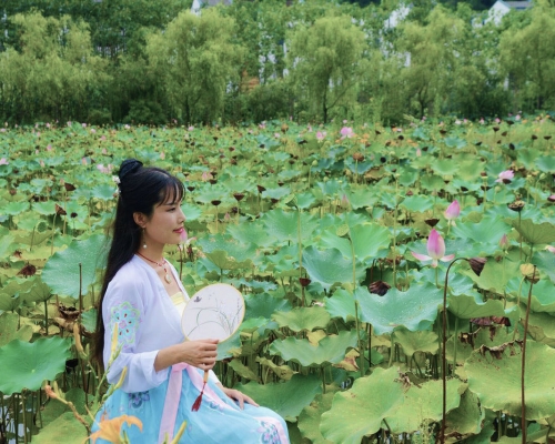 龚莲伊——度一学堂古琴老师