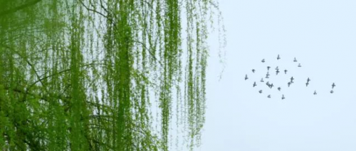 「阳关三叠」这些年，你有没有想过我