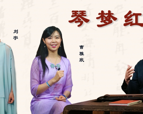 琴梦红楼《晴雯歌》畅读艺术学院（欣赏课）
