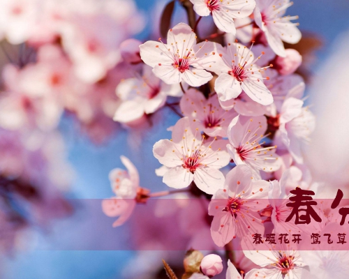 度一优惠季，温暖“价”到~